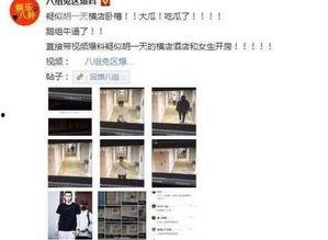 最新黑料热点爆料视频,视频爆料背后的惊人真相  第1张