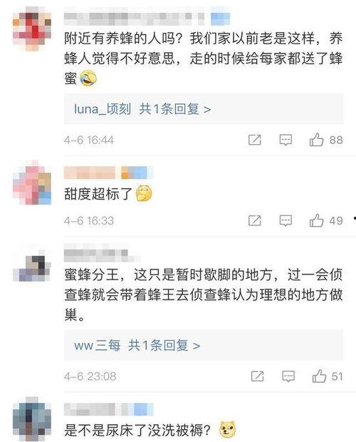 爆料哈哈的视频大全下载,热门爆料瞬间回顾 第3张 爆料哈哈的视频大全下载,热门爆料瞬间回顾 第3张
